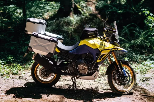 v-strom-800de-action-2-x2m3vecdt8.jpg