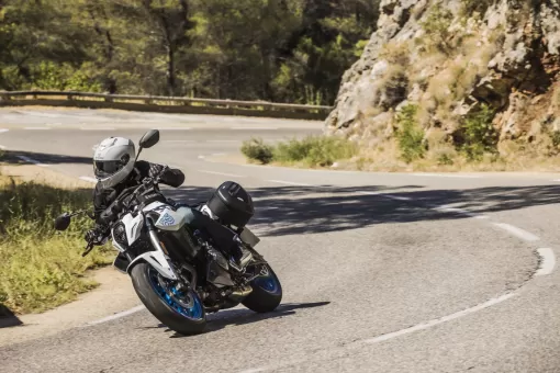 suzuki-gsx_s8_1820-7w0kfzlrgk.jpeg